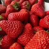 Клубника_русс🍓