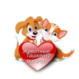 ВОПРОСЫ ❓ ЖИВОТНЫЕ ТАШКЕНТА