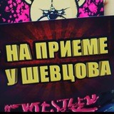 На приеме у Шевцова