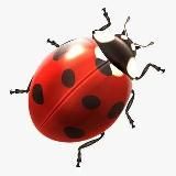 ФСН 🐞 OFFICIAL️