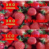 🍓 ECO World-Berry 🍓