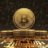 Crypto NFT Community ₿