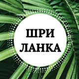 🌴🌊☀️🐋 Шри-Ланка ЧАТ Мирисса lankaplanet.ru