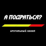 А подраться? UFC / POP MMA