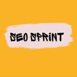 🌟SEO sprint🌟