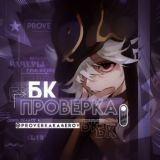 ПРОВЕРКА БК