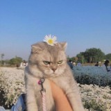 Парнишки