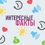 Интересные факты🦉