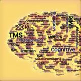 HSE Moscow Neuro-Cognitive Experiments