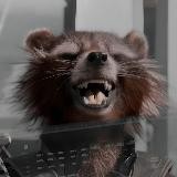 HOBBY COON
