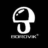 zatochka_borovika