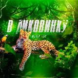 В ДИКОВИНКУ