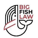 BIG FISH LAW