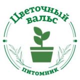 Питомник Цветочный Вальс