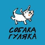 Собака-гуляка🐶