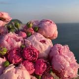 убежище | طالبة العلم ོ