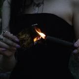 °•Donum Tenebrae•°
