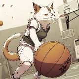 Типичный баскетбол