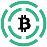 Bitcoin Cash City