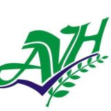 AVH диалог