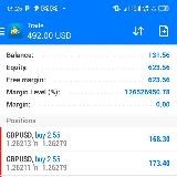 Bellforex