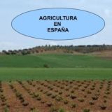 🥇 Agricultura Española 🇪🇸