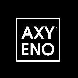 AXY’ENO брендовые сумки