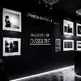 The Desire Gallery 18+