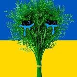 Штабист