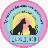 Дари Добро приют для животных Новосибирск