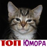 Топ Юмор | Приколы