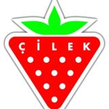 CILEK(ЗАПУСК ОФЕРОВ)