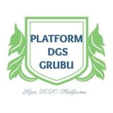 Platform DGS Grubu