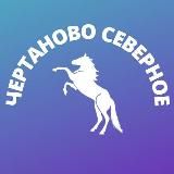 Чертаново Северное