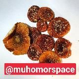 Отзывы о мухоморах Muhomorspace трип репорт ежовик гребенчатый биохакинг