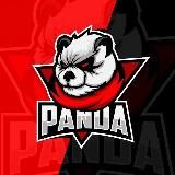 PANDA BET | Страшный сон БУКМЕКЕРА!