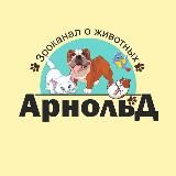 Арнольд 🐾 Зооканал о животных