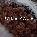 ＰＡＬＥ ＫＡＩＦ🥀