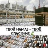 umma__muhammadaa__ ﷺ