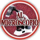 Al microscopio