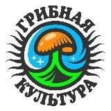 Грибная культура