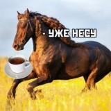 Кон(ь)Чаю🐴