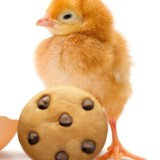 Цеплята🐣