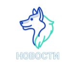 Лига Продавцов | Новости OZON WB