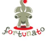 Travel Agency Fortunato Путешествие Бронирование Он-лайн Новости туризма