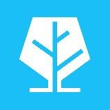 Виноваты Аудиторы