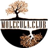 Molecula Club в НМУ