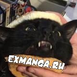 ExManga - бесплатные главы
