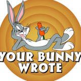 Your Bunny wrote Chat