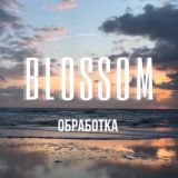 ОБРАБОТКА | СТОРИЗ | ПРЕСЕТЫ 🍒 BLOSSOM